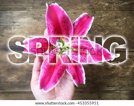 woman hand holding pink lily with word SPRING