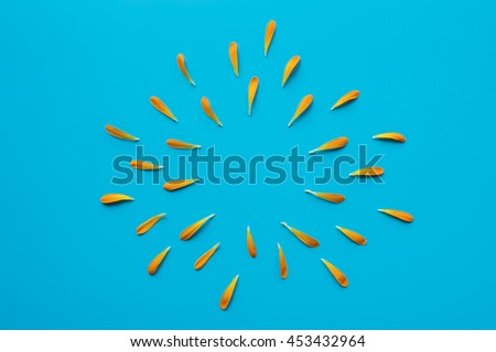 Orange yellow petals pattern on blue background. Natural backdrop for design. Top view.