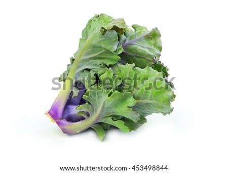 Kalettes, a delicious cross between brussels sprouts and kale isolated on white background