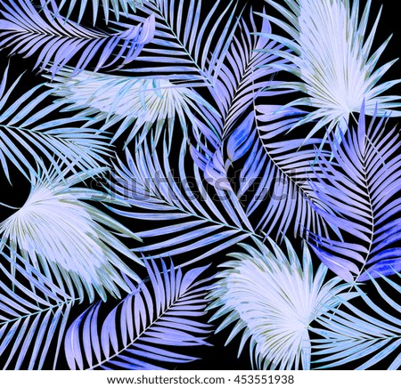 leaves of palm tree on black background