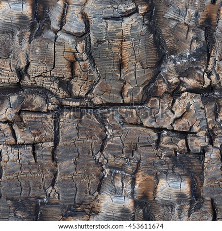 Seamless abstract background. Black charred wood pattern. Burned tree texture background. Close-up of burnt log for use as background. Details on the surface of charcoal