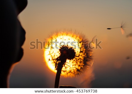 girl blowing dandelion during sunset, close up