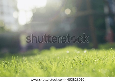 Abstract natural backgrounds with beauty bokeh and grass