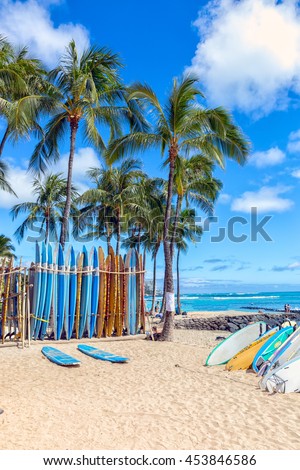 Vertical surfboards on the sandy beach in Waikiki with palm trees standing behind.  A beautiful blue sky background.