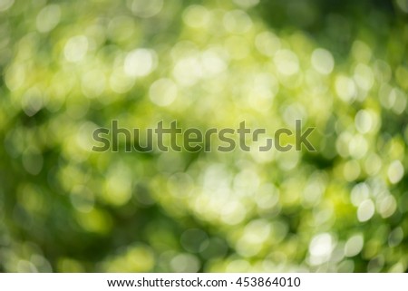 Green nature blurry background, defocus