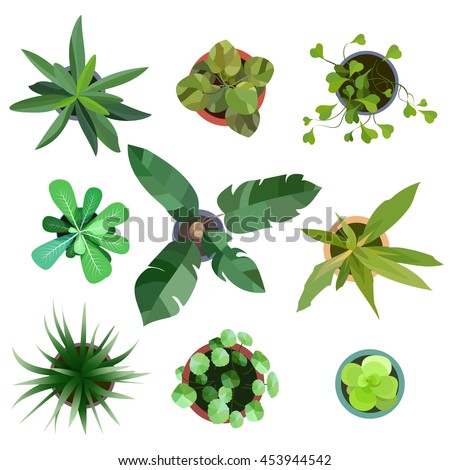 Top view. Big collection plants easy copy paste in your landscape design projects or architecture plan. Isolated flowers on white background. Vector eps10 Royalty-Free Stock Photo #453944542