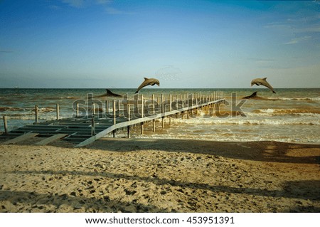 Sea sand beach dolphins