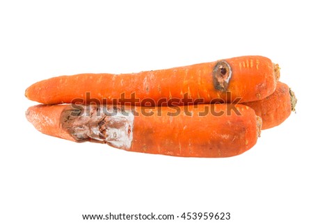 Rotten carrot isolated on white background