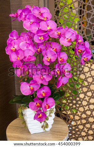 Beautiful potted orchids