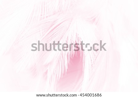 soft pink vintage color trends feather texture background