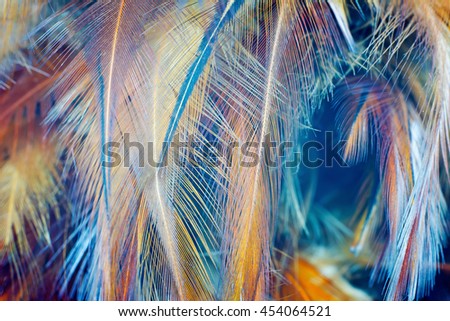 Brown feather vintage color trends texture background