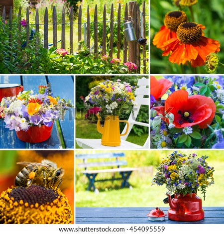 Wild flowers collage
