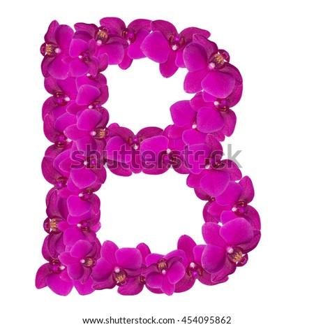 Letters made of pink flowers. B letter - flower alphabet