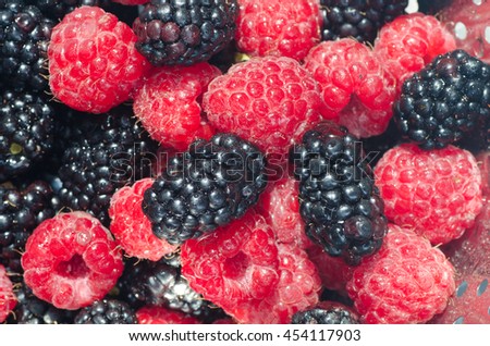raspberries and elderberries in colander