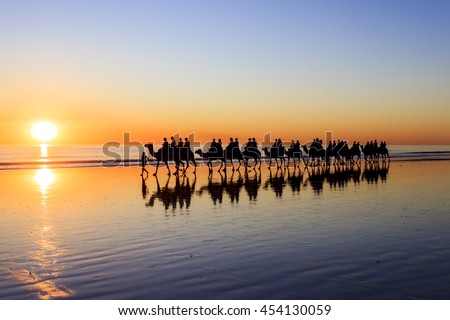 Camels on beach at sunset, Broome, Western Australia Royalty-Free Stock Photo #454130059