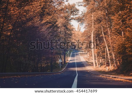 empty road and colorful yellow, green and red trees in autumn park. vintage picture