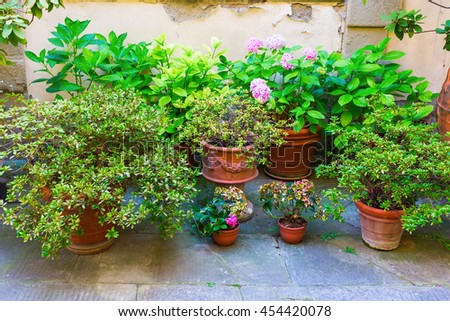 picturesque collection of flower pots standing on the floor