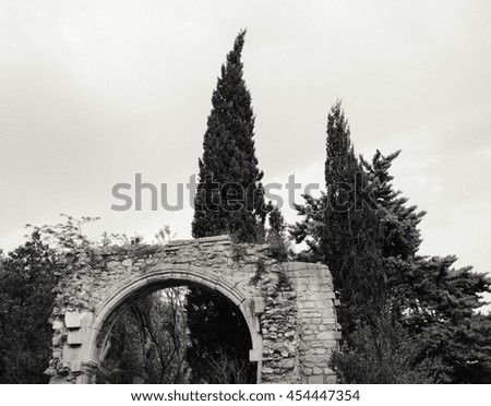 Church ruins and cyparis tree. Provence (France). Black and white photo.