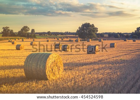 field after the harvest,Vintage retro stylized photo