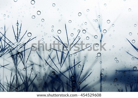 silhouette of blurry grass in field with raindrops on glass window