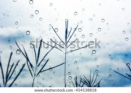 silhouette of blurry grass with cloudy sky and raindrop on glass window