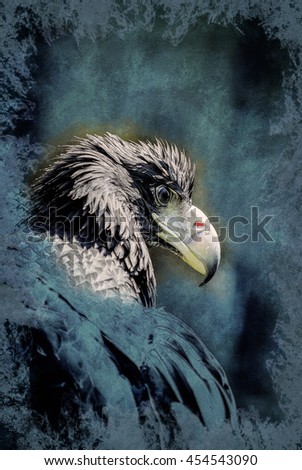 Portrait of a Black Kite with staring eye. Vintage painting, background illustration, beautiful picture, travel texture