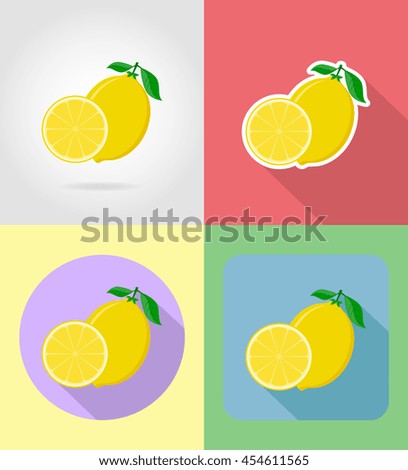 lemon fruits flat set icons with the shadow illustration isolated on background