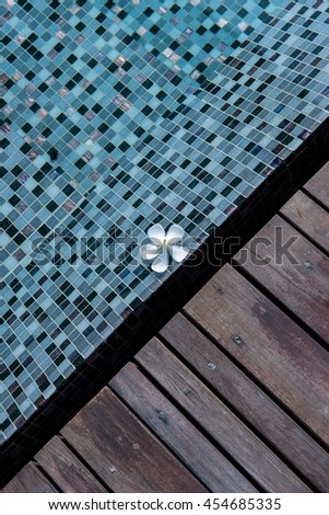 Frangipani flowers blooming in swimming pool with wooden path side. Frangipani (plumeria) flower floating in water
