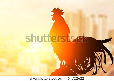 2017 new year concept,Silhouette of  Rooster chicken cockcrow on morning top view city Royalty-Free Stock Photo #454722622