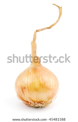 beautiful onion isolated on white background
