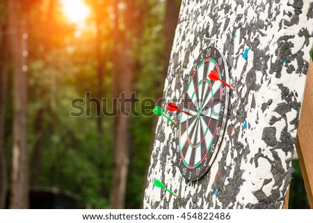 Target with darts outdoors