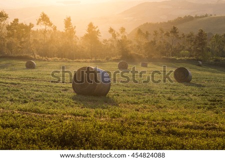 Bales of straw lying in a field in the rays of the setting sun. Summer. Italy.