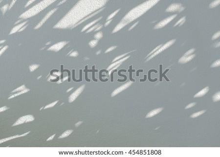 White old wall with shadow of tree