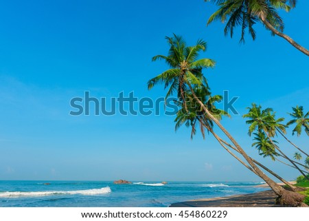 Tropical palm trees on ocean beach at day light time