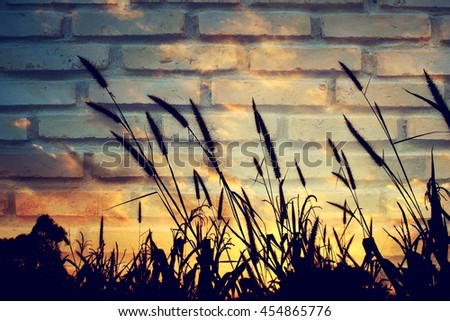 Pasture in twilight screen on old dirty brick wall