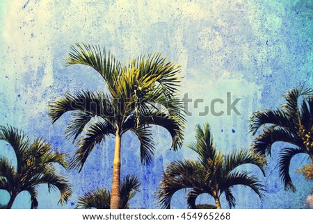 palm tree and blue sky screen on dirty wall