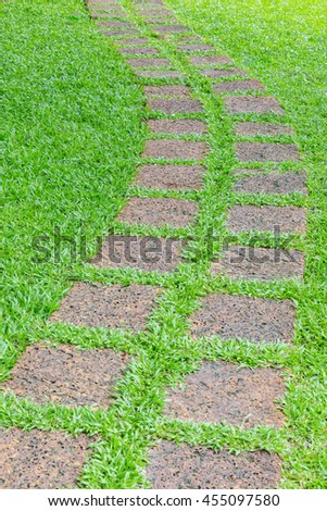 walk way in the garden with green grass background