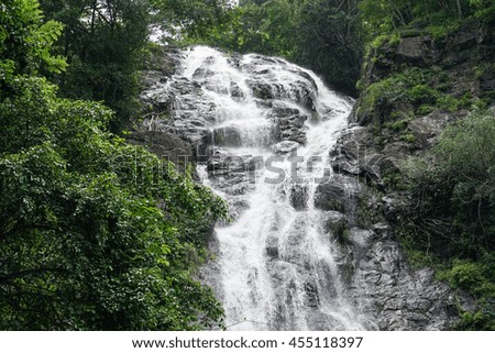 Waterfall with green plant surrounded