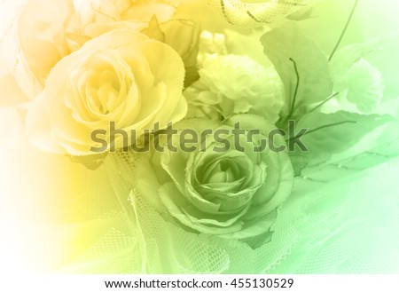 closeup image of roses in soft style and blurred