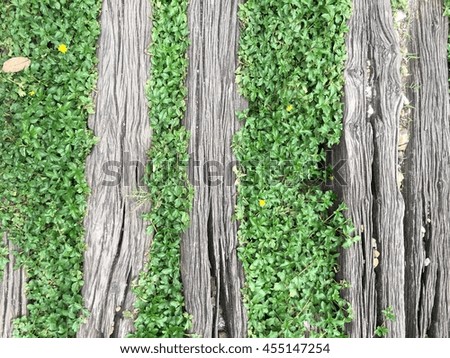 Wood Wall, background