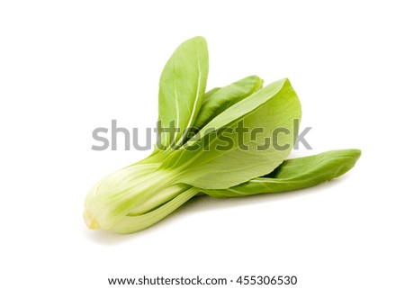 Chinese White Cabbage isolated on white background with shadow