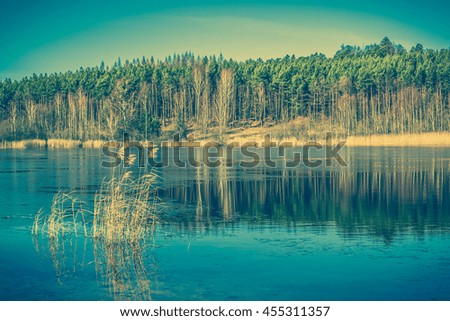Wild lake in the forest, spring landscape taken in Poland, vintage photo