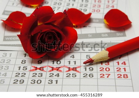 Menstruation woman. Rose and pencil on the calendar.