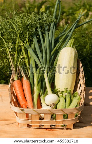 Vegetables In Wicker Basket. Fresh Young Vegetables (Carrot, Onion, Vegetable Marrow, Peas) In Wicker Basket On Wooden Table Outdoor Top View.