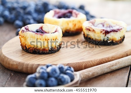 Mini blueberry cheesecakes with whipped cream surrounded by fresh berries. Extreme shallow depth of field with selective focus on dessert in front of image.