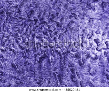 painted violet natural fur texture or background