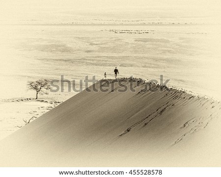 View from the Dunes #45 of the Namib desert and dead trees in the Sossusvlei plato of the Namib Naukluft National Park - Namibia, South Africa (stylized retro)