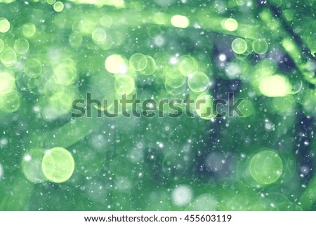 Green background bokeh blurred glare rain