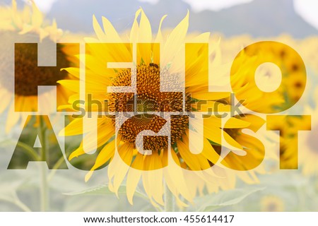 Hello AUGUST word on sunflower background Royalty-Free Stock Photo #455614417