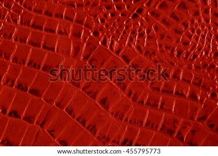 Crocodile red texture